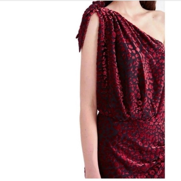 IRO Moon Velvet Animal Print Burgundy Burnout One Shoulder Mini Dress NWT Size 4 - Picture 4 of 10